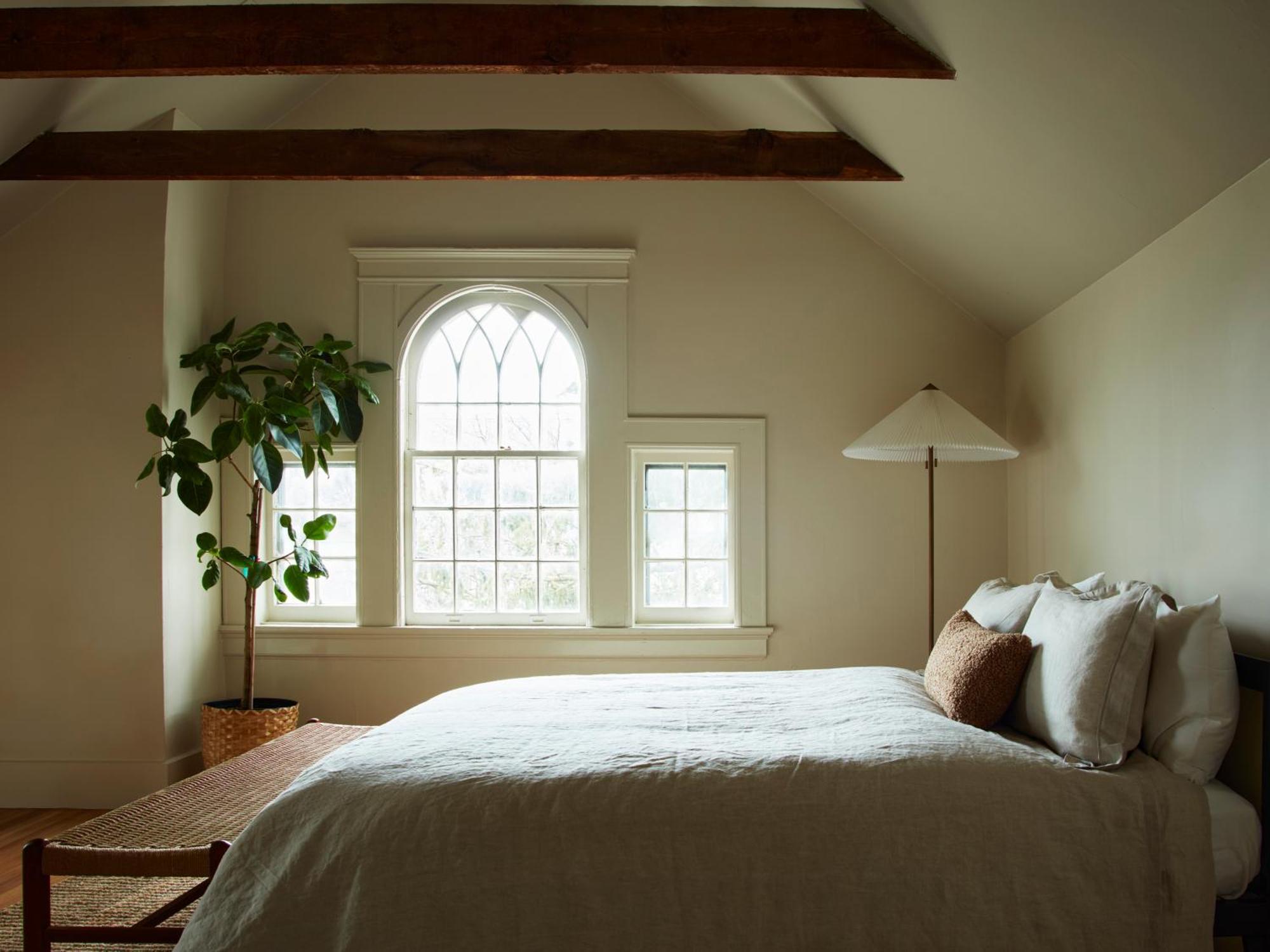 Cohouse New Haven Steps To Yale University 外观 照片
